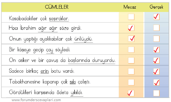 4. Sınıf Türkçe Ders Kitabı Sayfa 63 Cevapları