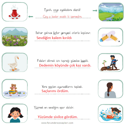 4. Sınıf Türkçe Ders Kitabı Sayfa 67 Cevapları