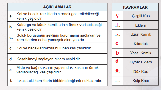 6. Sınıf Fen Bilimleri Ders Kitabı Sayfa 49 Cevapları MEB Yayınları