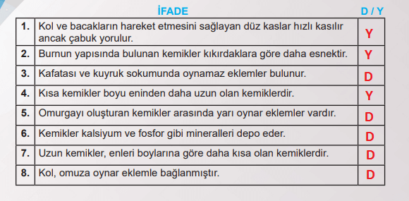 6. Sınıf Fen Bilimleri Ders Kitabı Sayfa 49 Cevapları MEB Yayınları