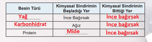 6. Sınıf Fen Bilimleri Ders Kitabı Sayfa 55 Cevapları MEB Yayınları