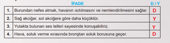 6. Sınıf Fen Bilimleri Ders Kitabı Sayfa 69 Cevapları MEB Yayınları