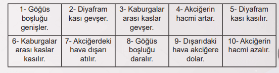 6. Sınıf Fen Bilimleri Ders Kitabı Sayfa 69 Cevapları MEB Yayınları