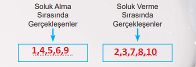 6. Sınıf Fen Bilimleri Ders Kitabı Sayfa 69 Cevapları MEB Yayınları