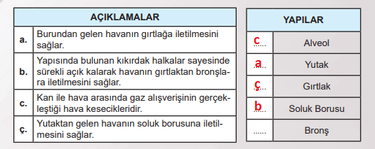 6. Sınıf Fen Bilimleri Ders Kitabı Sayfa 69 Cevapları MEB Yayınları