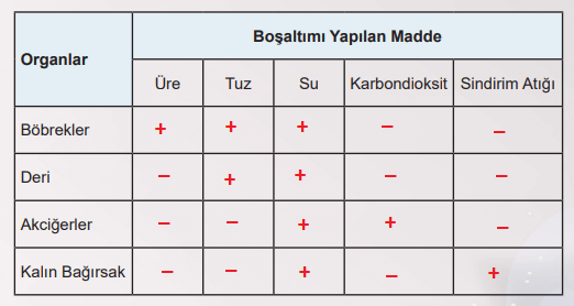 6. Sınıf Fen Bilimleri Ders Kitabı Sayfa 73 Cevapları MEB Yayınları