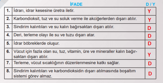 6. Sınıf Fen Bilimleri Ders Kitabı Sayfa 73 Cevapları MEB Yayınları