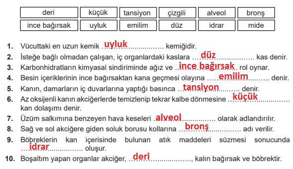 6. Sınıf Fen Bilimleri Ders Kitabı Sayfa 76 Cevapları MEB Yayınları