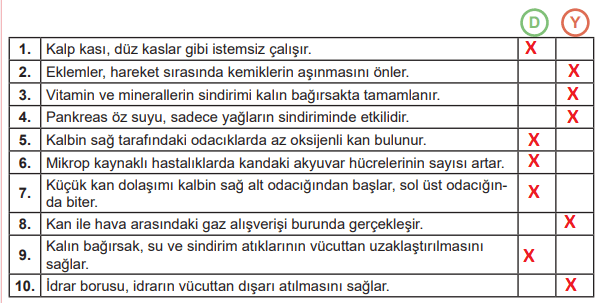 6. Sınıf Fen Bilimleri Ders Kitabı Sayfa 76-77-78-79-80-81 Cevapları MEB Yayınları