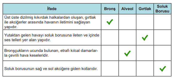 6. Sınıf Fen Bilimleri Ders Kitabı Sayfa 79 Cevapları MEB Yayınları