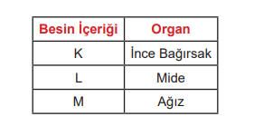 6. Sınıf Fen Bilimleri Ders Kitabı Sayfa 80 Cevapları MEB Yayınları