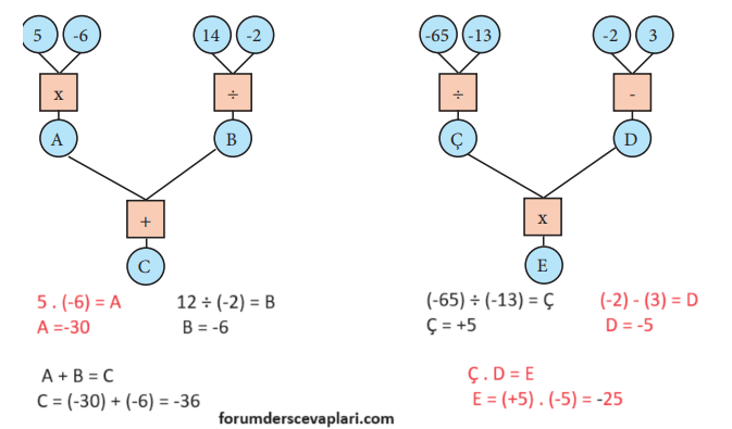 7. Sınıf Matematik Ders Kitabı Sayfa 29 Cevapları MEB Yayınları2