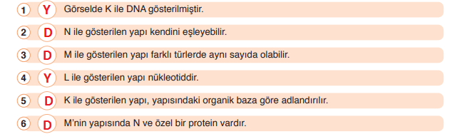 8. Sınıf Fen Bilimleri Ders Kitabı Sayfa 49 Cevapları Ata Yayıncılık