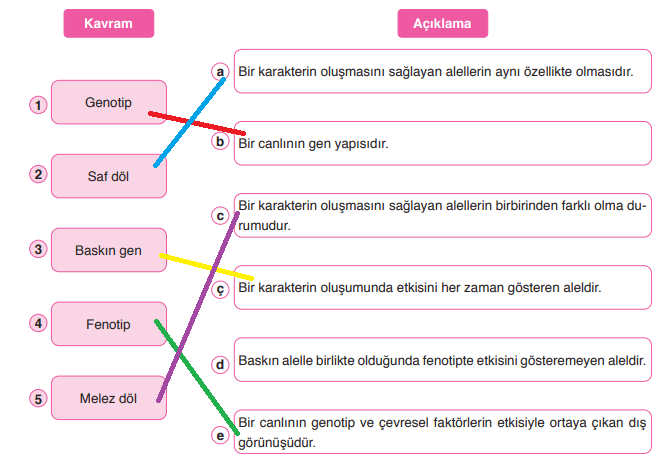 8. Sınıf Fen Bilimleri Ders Kitabı Sayfa 59 Cevapları Ata Yayıncılık