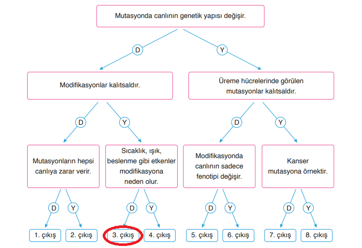 8. Sınıf Fen Bilimleri Ders Kitabı Sayfa 65 Cevapları Ata Yayıncılık