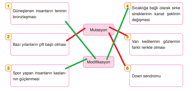 8. Sınıf Fen Bilimleri Ders Kitabı Sayfa 65 Cevapları Ata Yayıncılık