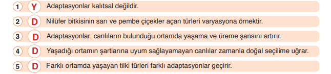 8. Sınıf Fen Bilimleri Ders Kitabı Sayfa 70 Cevapları Ata Yayıncılık