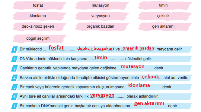 8. Sınıf Fen Bilimleri Ders Kitabı Sayfa 80 Cevapları Ata Yayıncılık