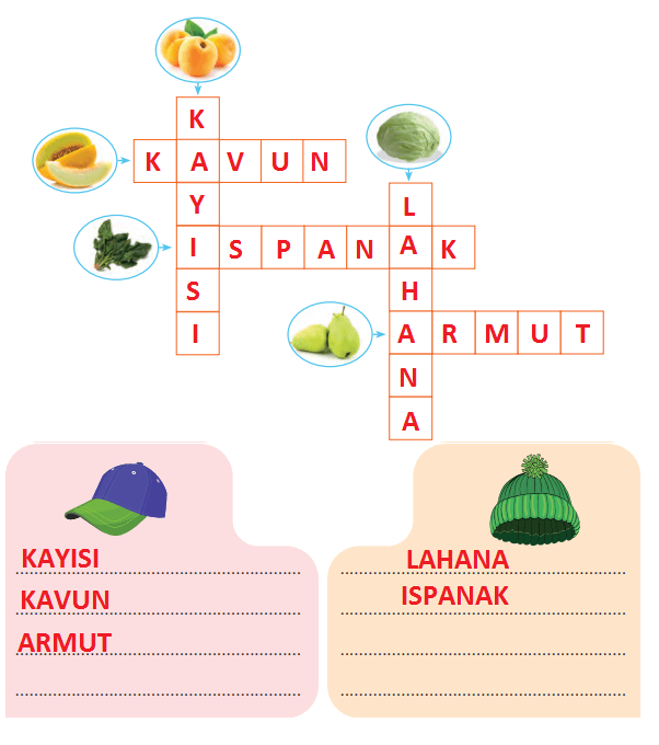 2. Sınıf Hayat Bilgisi Ders Kitabı Sayfa 117 Cevapları SDR Dikey Yayıncılık