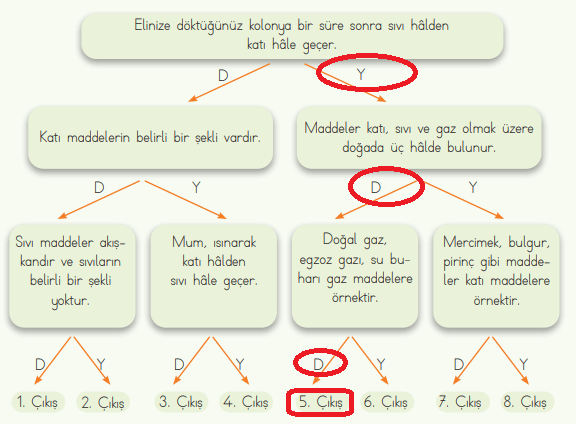 4. Sınıf Fen Bilimleri Ders Kitabı Sayfa 115 Cevapları MEB Yayınları