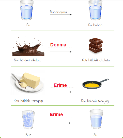 4. Sınıf Fen Bilimleri Ders Kitabı Sayfa 120 Cevapları MEB Yayınları