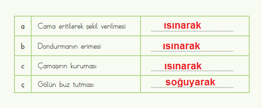 4. Sınıf Fen Bilimleri Ders Kitabı Sayfa 123 Cevapları MEB Yayınları