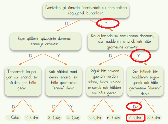 4. Sınıf Fen Bilimleri Ders Kitabı Sayfa 123 Cevapları MEB Yayınları