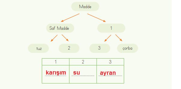 4. Sınıf Fen Bilimleri Ders Kitabı Sayfa 131 Cevapları MEB Yayınları