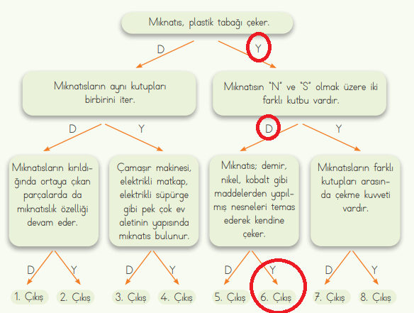 4. Sınıf Fen Bilimleri Ders Kitabı Sayfa 89 Cevapları MEB Yayınları