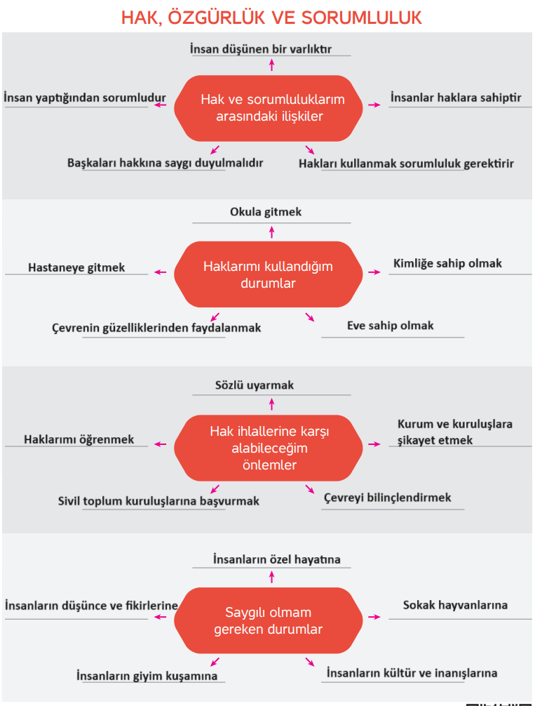 4. Sınıf İnsan Hakları Ders Kitabı Sayfa 41 Cevapları Hecce Yayıncılık