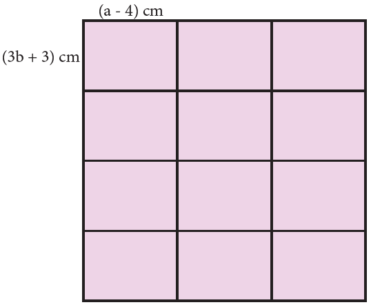 7. Sınıf Matematik Ders Kitabı Sayfa 113 Cevapları