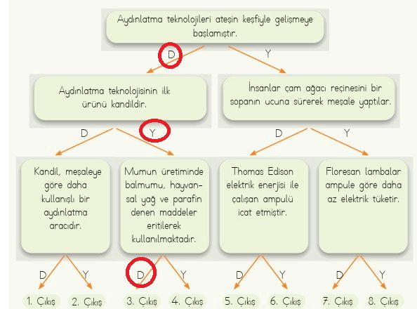 4. Sınıf Fen Bilimleri Ders Kitabı Sayfa 146 Cevapları MEB Yayınları