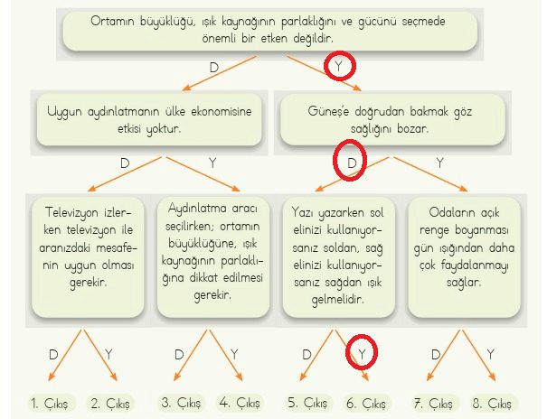 4. Sınıf Fen Bilimleri Ders Kitabı Sayfa 153 Cevapları MEB Yayınları