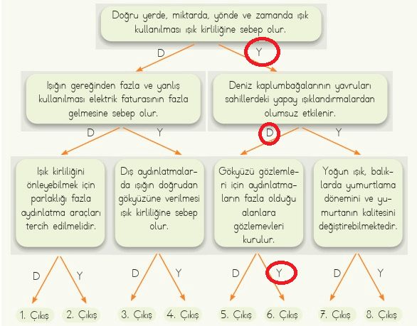 4. Sınıf Fen Bilimleri Ders Kitabı Sayfa 159 Cevapları MEB Yayınları