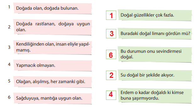 5. Sınıf Türkçe Ders Kitabı Sayfa 159 Cevapları KOZA Yayınları