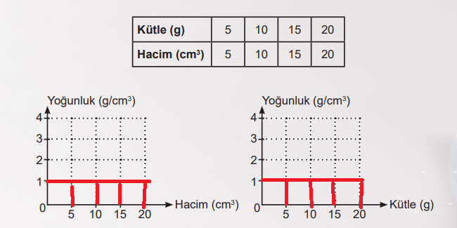 6. Sınıf Fen Bilimleri Ders Kitabı Sayfa 125 Cevapları MEB Yayınları