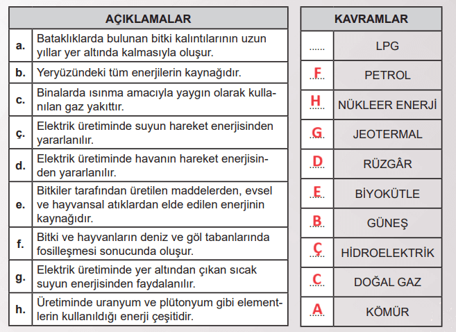 6. Sınıf Fen Bilimleri Ders Kitabı Sayfa 141 Cevapları MEB Yayınları