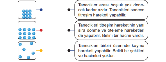 6. Sınıf Fen Bilimleri Ders Kitabı Sayfa 148 Cevapları MEB Yayınları