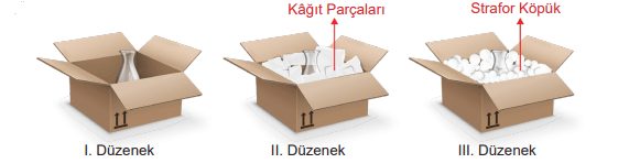 6. Sınıf Fen Bilimleri Ders Kitabı Sayfa 149 Cevapları MEB Yayınları