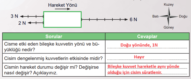 6. Sınıf Fen Bilimleri Ders Kitabı Sayfa 93 Cevapları MEB Yayınları