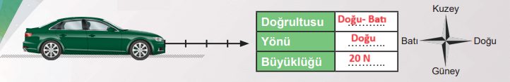 6. Sınıf Fen Bilimleri Ders Kitabı Sayfa 93 Cevapları MEB Yayınları