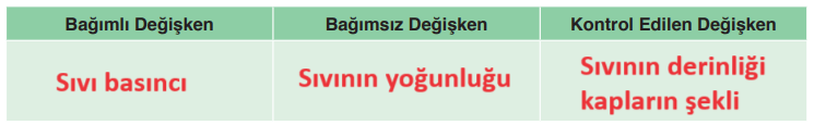 8. Sınıf Fen Bilimleri Ders Kitabı Sayfa 102 Cevapları Ata Yayıncılık2