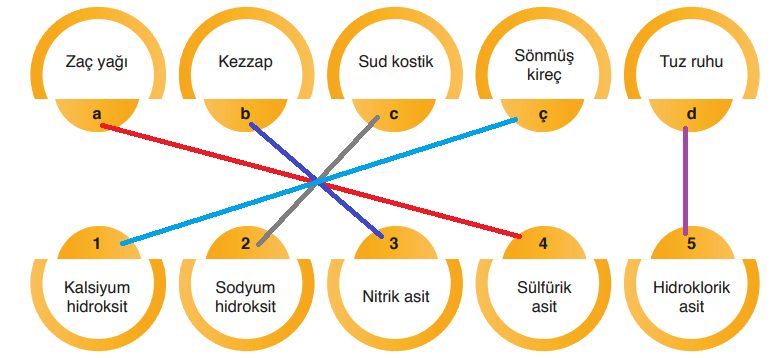 8. Sınıf Fen Bilimleri Ders Kitabı Sayfa 137 Cevapları Ata Yayıncılık1