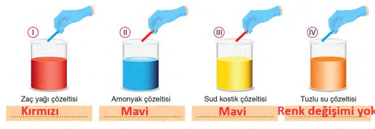 8. Sınıf Fen Bilimleri Ders Kitabı Sayfa 160 Cevapları Ata Yayıncılık2