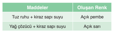 8. Sınıf Fen Bilimleri Ders Kitabı Sayfa 164 Cevapları Ata Yayıncılık