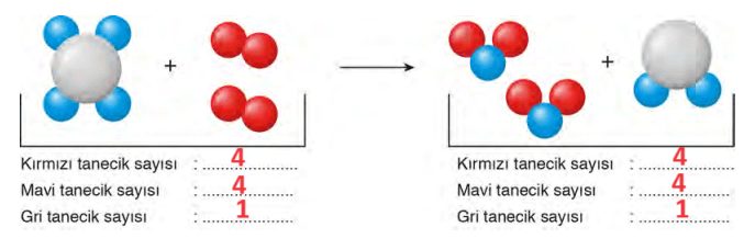 8. Sınıf Fen Bilimleri Ders Kitabı Sayfa 125 Cevapları