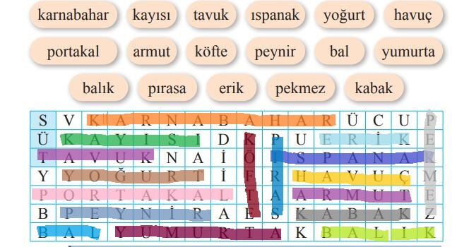 2. Sınıf Türkçe Ders Kitabı Sayfa 207 Cevapları Bilim ve Kültür Yayınları
