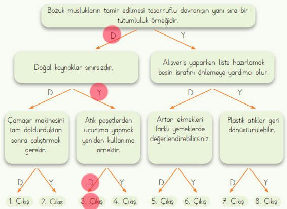 4. Sınıf Fen Bilimleri Ders Kitabı Sayfa 191 Cevapları MEB Yayınları