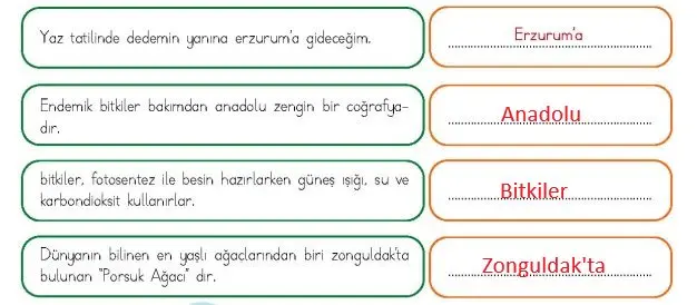 4. Sınıf Türkçe Ders Kitabı 144-146-147-148-149 Sayfa Cevapları MEB Yayınları 2 4. Sınıf Türkçe Ders Kitabı Sayfa 148 Cevapları MEB Yayınları