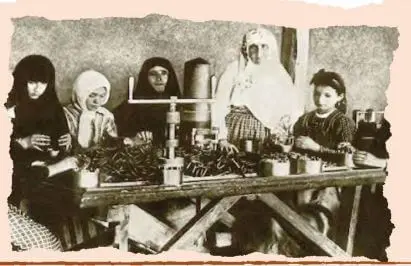 4. Sınıf Türkçe Ders Kitabı Sayfa 170-172-173-174-175 Cevapları MEB Yayınları 3 4. Sınıf Türkçe Ders Kitabı Sayfa 175 Cevapları MEB Yayınları